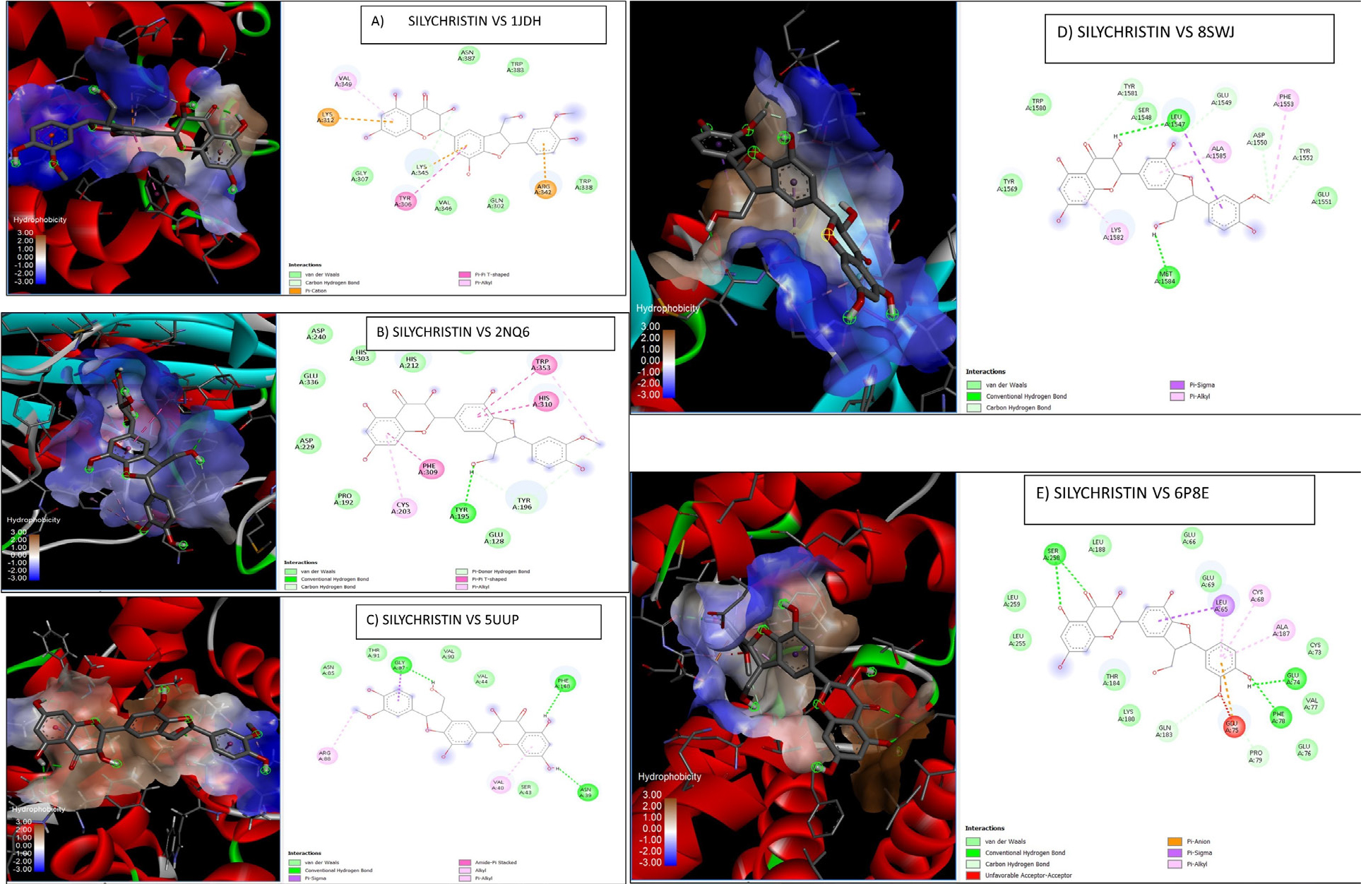 Molecular docking interactions of silymarin bioactive compounds (SILYCHRISTIN A, B, C, D and E) with key breast cancer hub proteins.