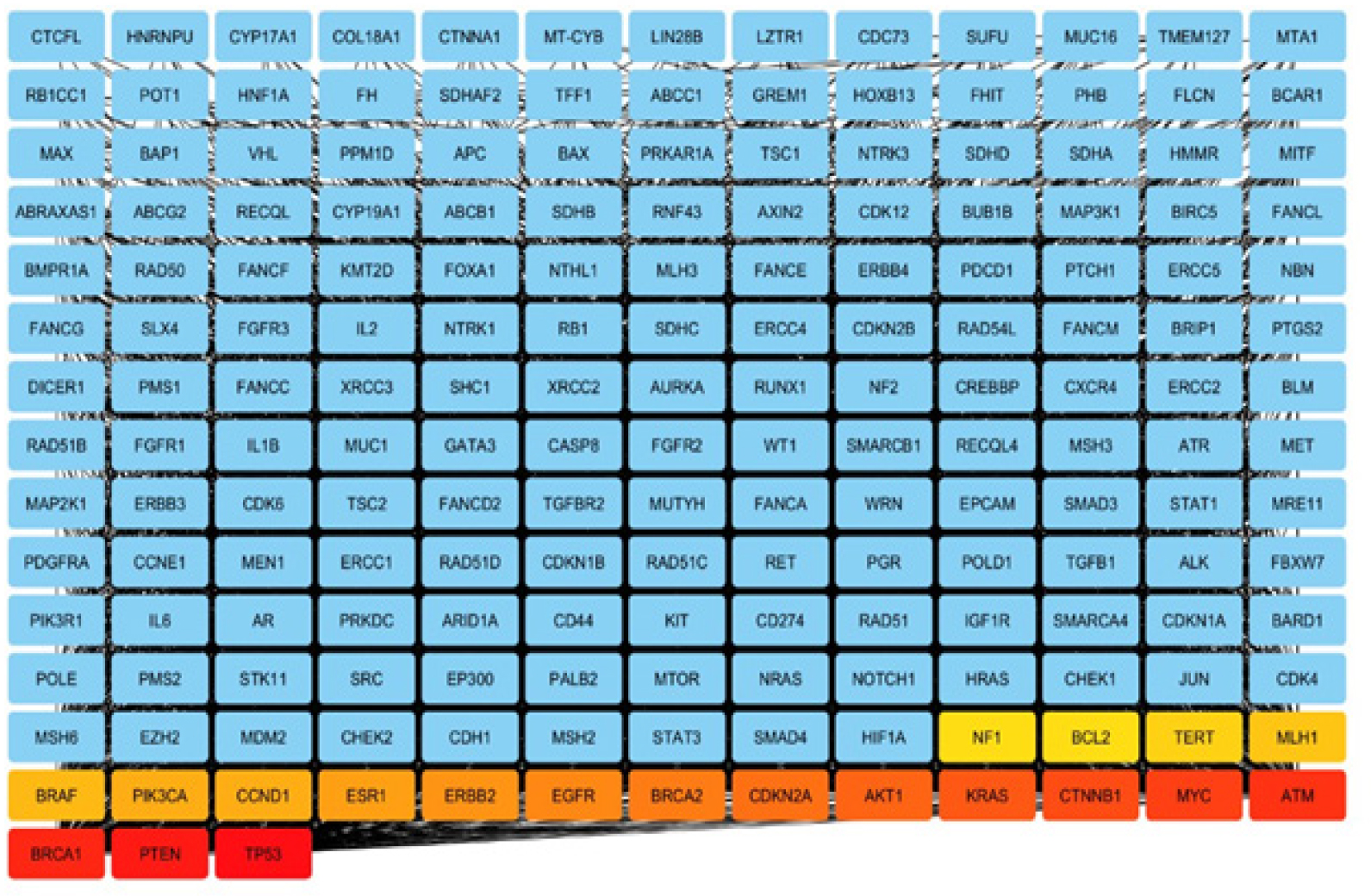 Identification and functional characterization of Hub Genes in the breast cancer PPI network.