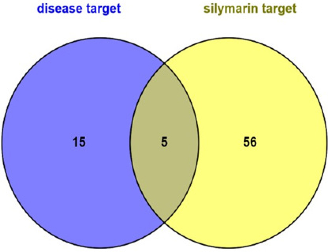 In silico identification of potential therapeutic targets of Silymarin and their overlap with breast cancer-related genes.