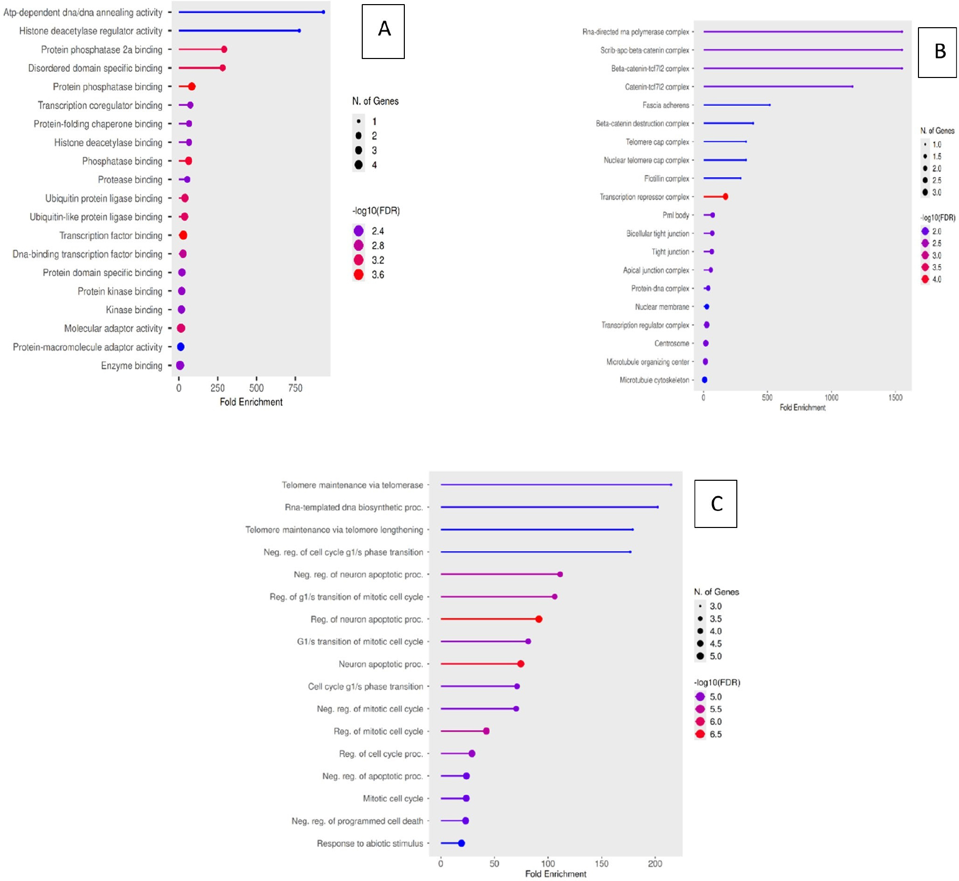 Gene Ontology enrichment analysis of hub genes showing significantly enriched (A) Molecular functions, (B) Cellular components, and (C) Biological processes relevant to breast cancer.