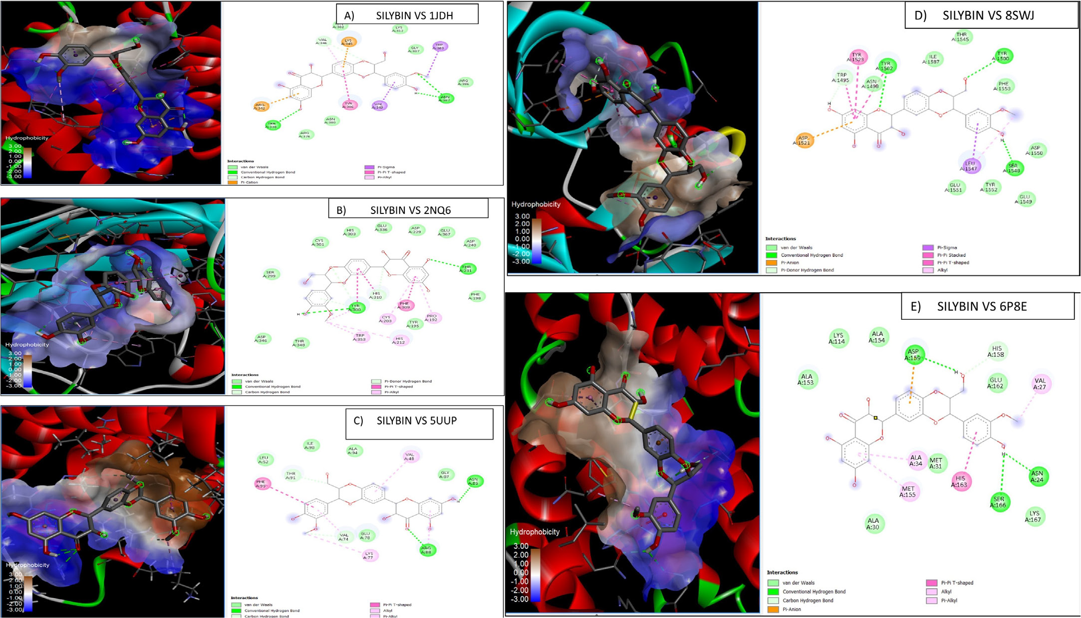 Molecular docking interactions of silymarin bioactive compounds (SILYBIN A, B, C, D and E) with key breast cancer hub proteins.