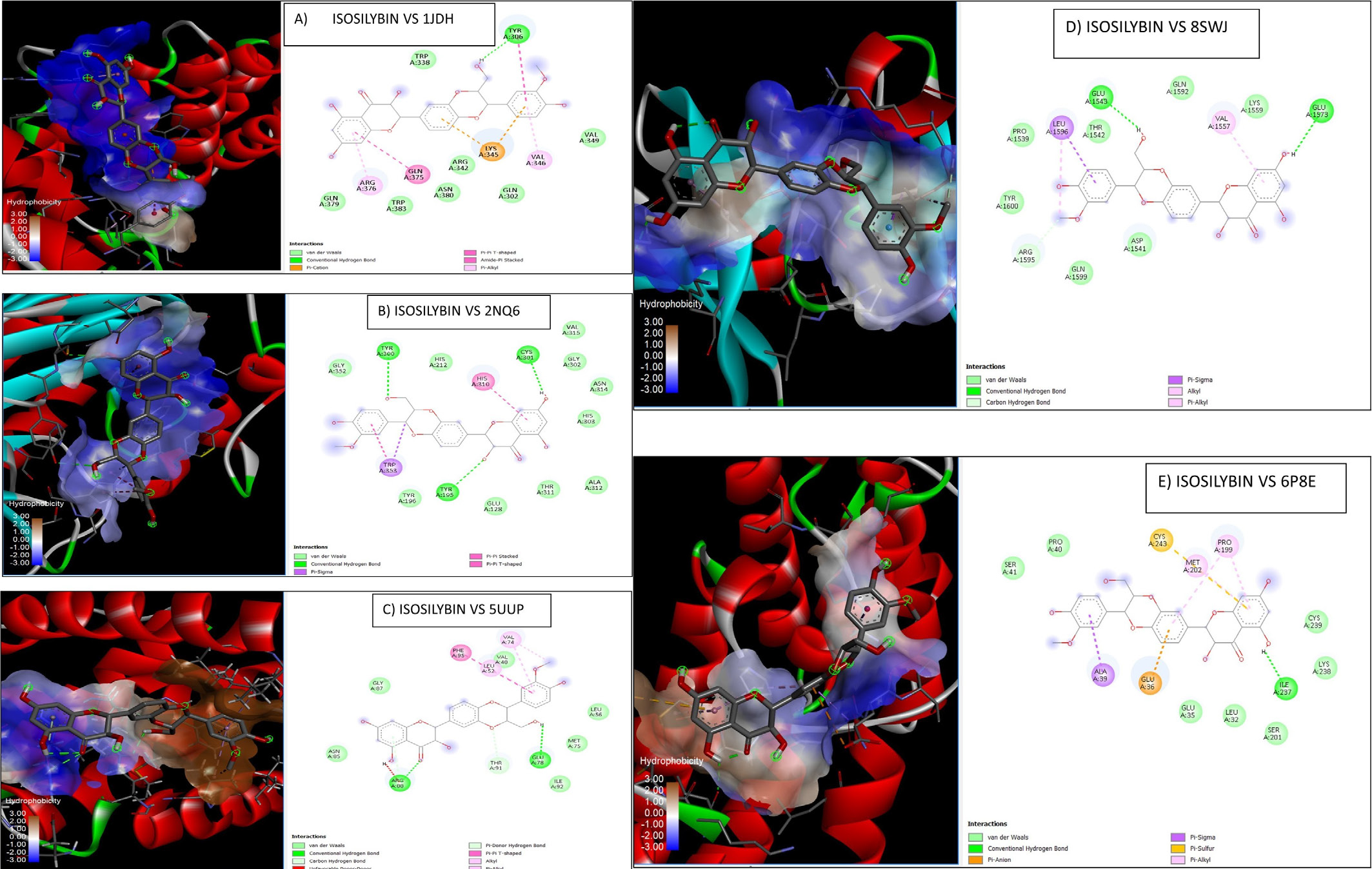 Molecular docking interactions of silymarin bioactive compounds (ISOSILYBIN A, B, C, D and E) with key breast cancer hub proteins.
