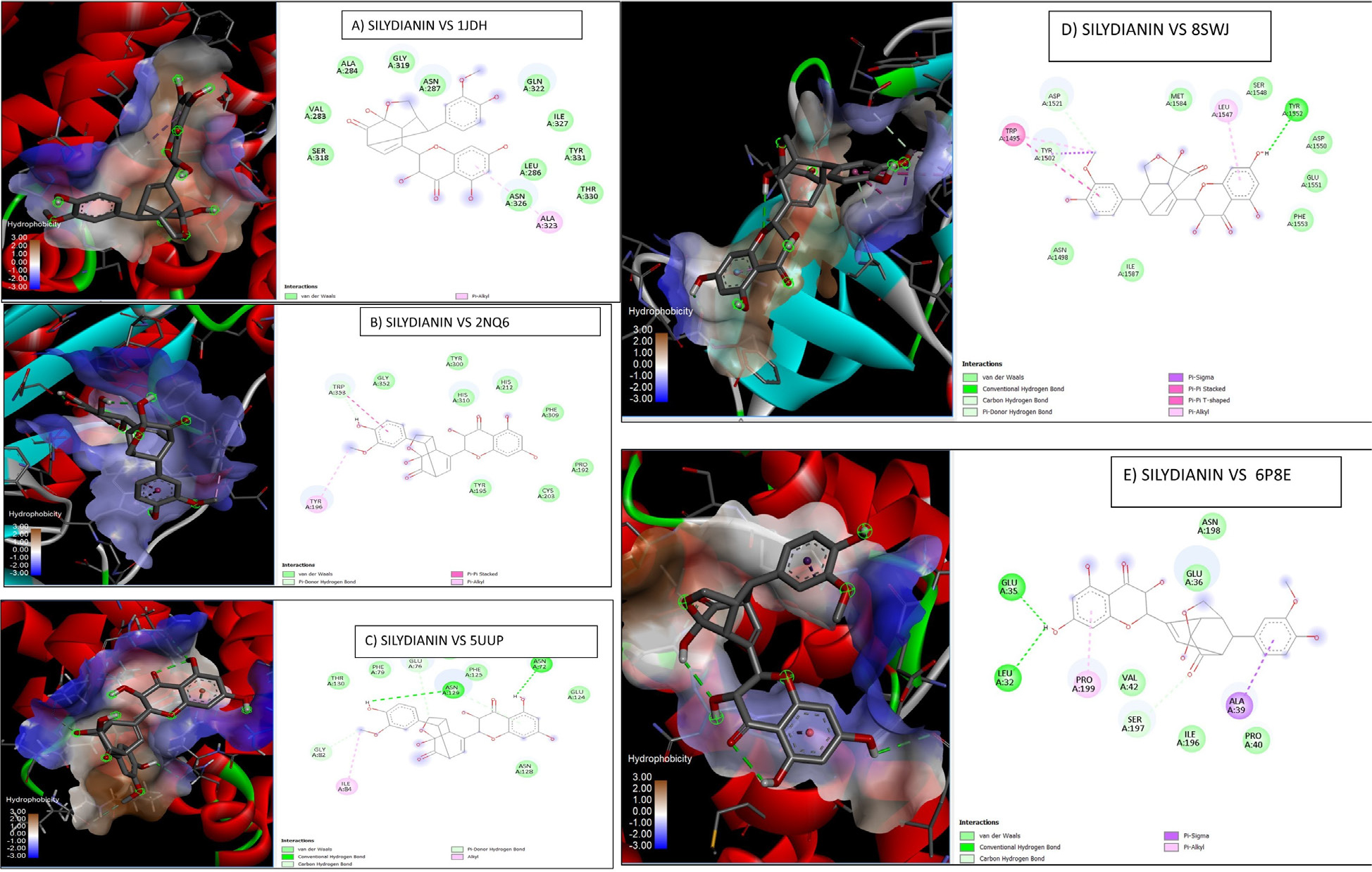 Molecular docking interactions of silymarin bioactive compounds (SILYDIANIN A, B, C, D and E) with key breast cancer hub proteins.