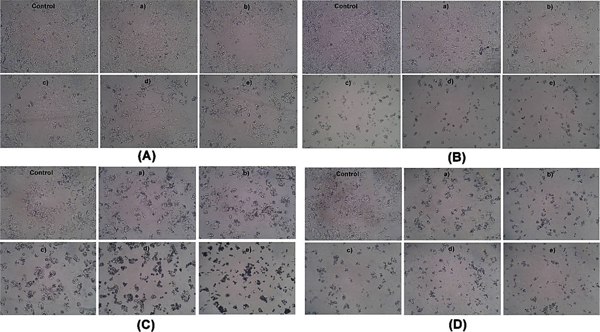 Representative bright-field microscopic images of LCNs(A), FA-LCNs(B), against HCT-116 cancer cells after 72 hr and the concentrations were (a) 2 µM/mL (b) 4 µM/mL (c) 6 µM/mL (d) 8 µM/mL (e) 10 µM/mL. LCNs (C) FA-LCNs (D) against HT-29 cancer cells after 72 hr and the concentrations were (a) 20 µM/mL (b) 40 µM/mL (c) 60 µM/mL (d) 80 µM/mL (e) 100 µM/mL.