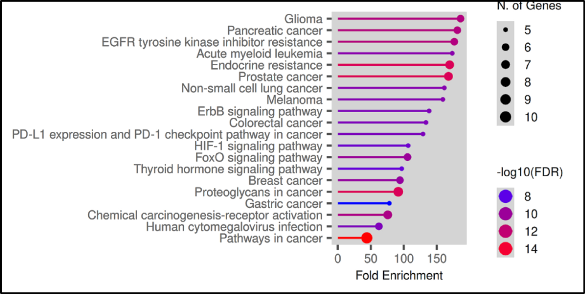 KEGG pathway enrichment analysis of predicted target genes.