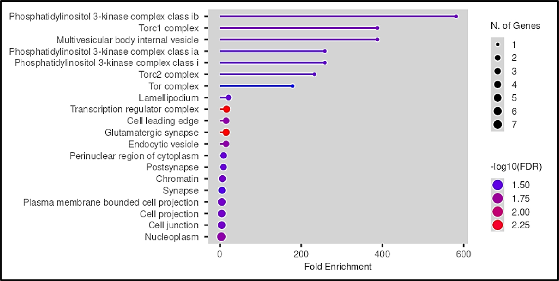 GO cellular component enrichment analysis.