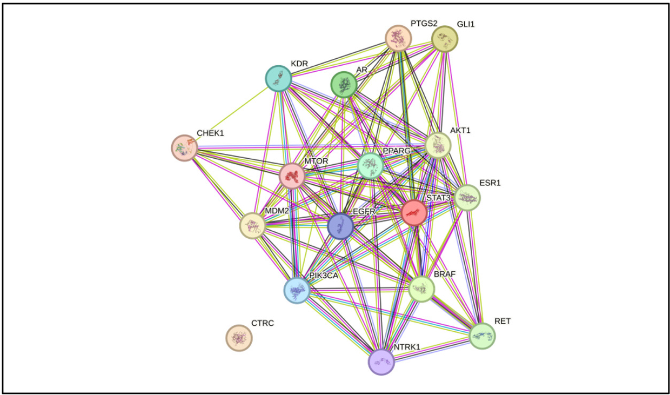 Protein-protein interaction network.