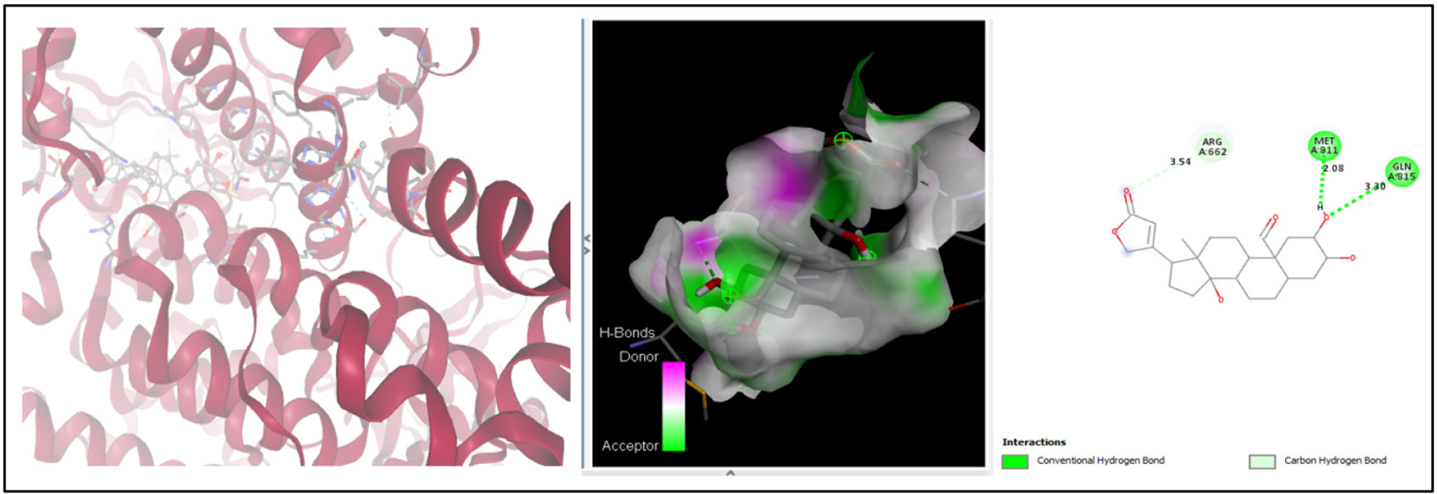 Molecular docking interaction analysis of Calotropagenin with PIK3CA (PDB ID: 7R9V).
