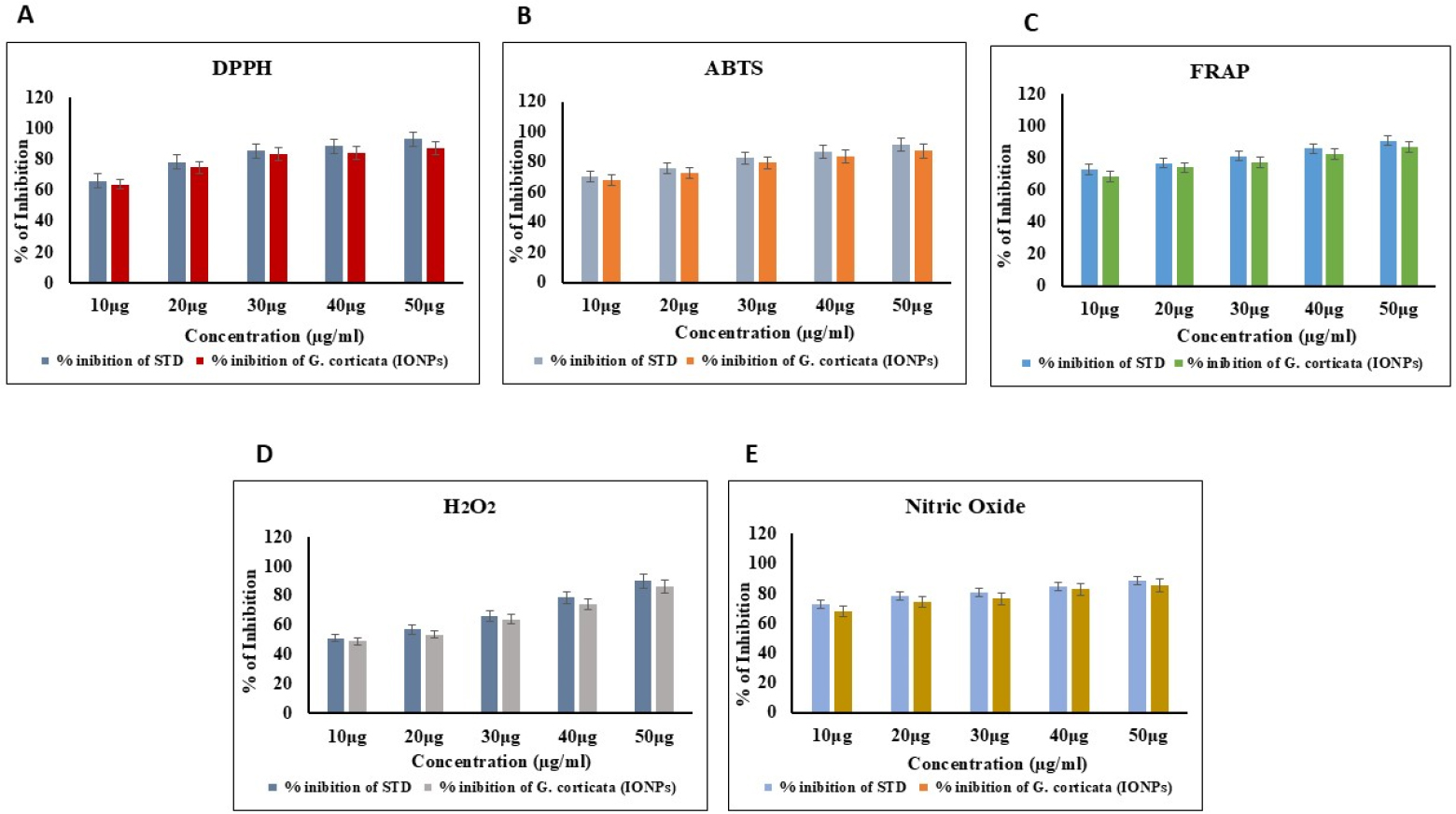 Antioxidant potential of G. croticata-mediated IONPs. A) DPPH, B) ABTS, C) FRAP, D) Hydrogen peroxide, and E) Nitric oxide inhibition assays.