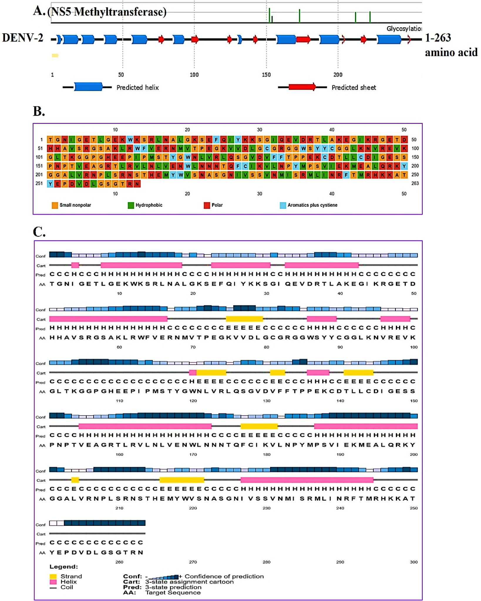 Structural and physicochemical features of DENV-2 NS5-MTase. (A) Predicted secondary-structure map of the NS5-MTase, highlighting α-helices (blue) and β-sheets (red) along the sequence. (B) Amino acids classified by physicochemical properties: small nonpolar, hydrophobic, polar, and aromatic residues. (C) Predicted elements show helices (H), strands (E), and coils (C) with confidence levels, supporting a compact α/β-fold.