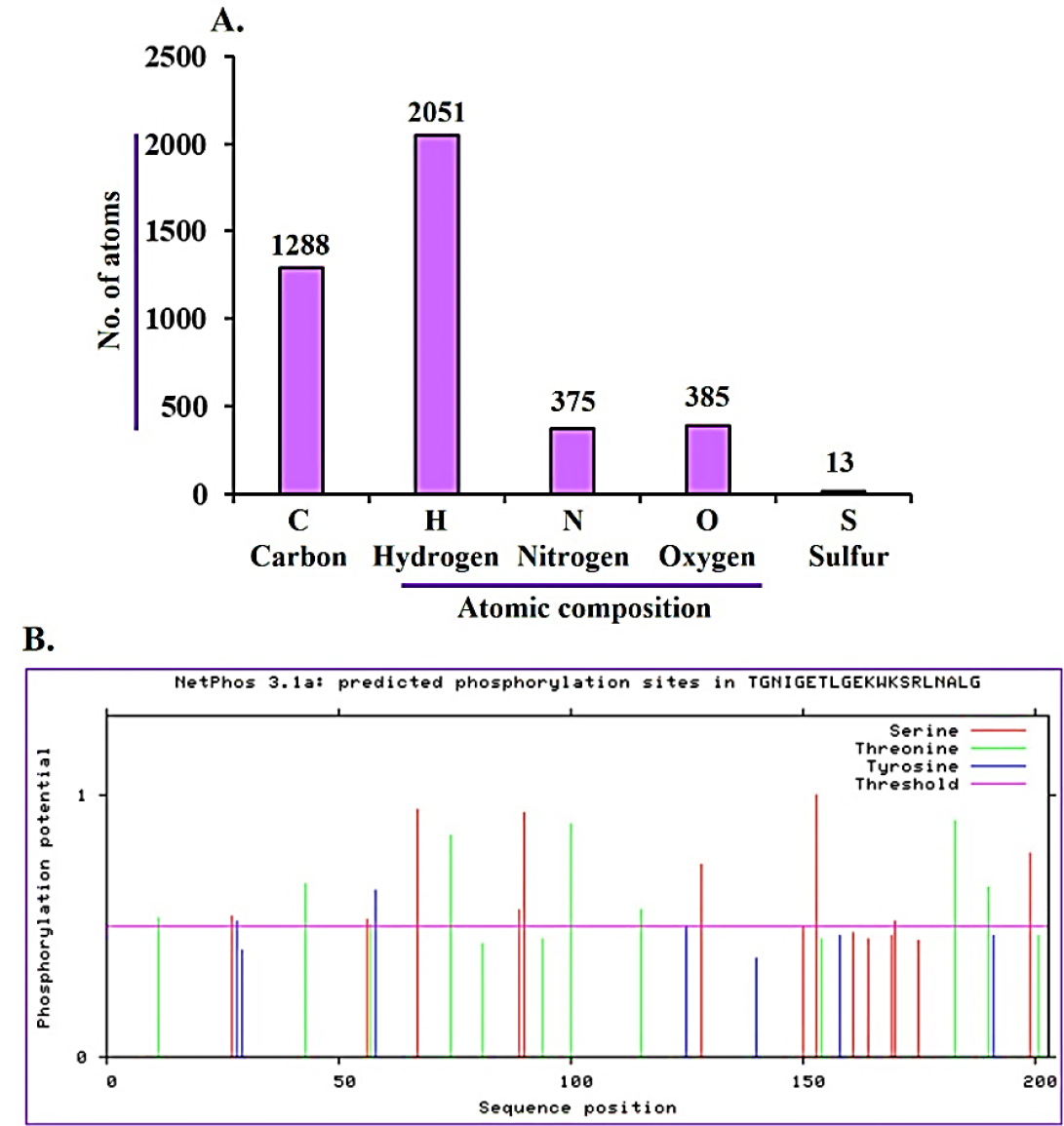 Atomic composition and predicted phosphorylation sites of DENV-2 NS5-MTase. (A) Atomic composition showing the relative abundance of carbon, hydrogen, nitrogen, oxygen, and sulfur atoms within the NS5-MTase structure. (B) Predicted phosphorylation sites on serine, threonine, and tyrosine residues generated by NetPhos 3.1, highlighting potential regulatory regions that exceed the threshold value.