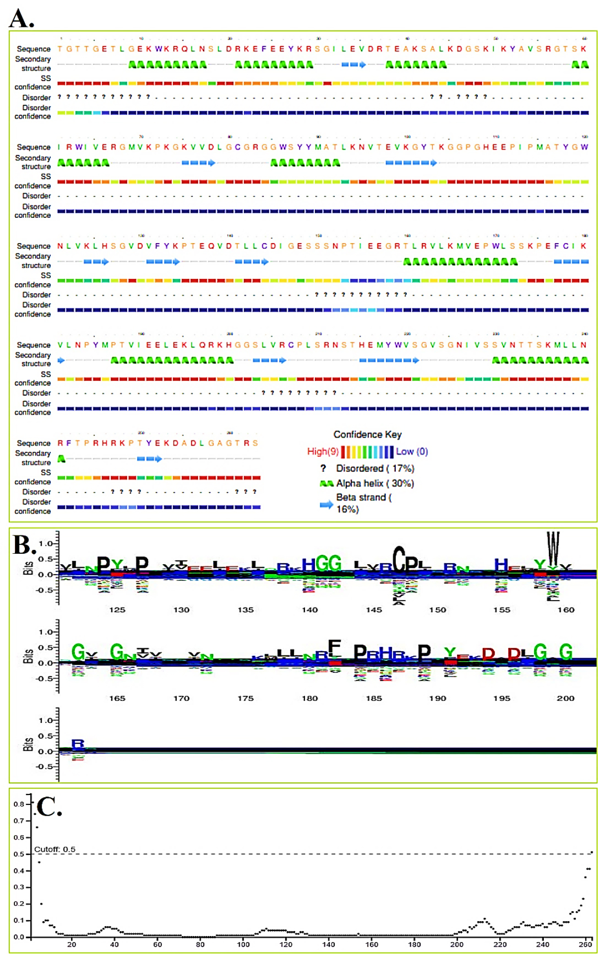 (A) Shows the predicted secondary structure and disorder profile of the NS5-MTase domain, relating α-helices, β-strands, and disordered regions to protein function. (B) Presents a sequence logo indicating conserved residues critical for the catalytic core enzymatic activity. (C) Displays a disorder probability plot marking stable core regions and flexible termini in the 263-amino-acid NS5-MTase.