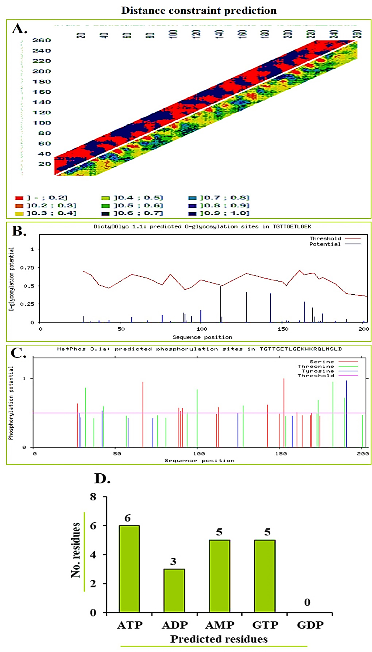 (A-D) Functional predictions for the NS5 methyltransferase domain of DENV-4. (A) Residue contact map; (B) O-glycosylation; (C) Phosphorylation on Ser/Thr/Tyr; (D) Nucleotide-binding residues. Predicted modification and binding sites suggest key regulatory and catalytic roles.