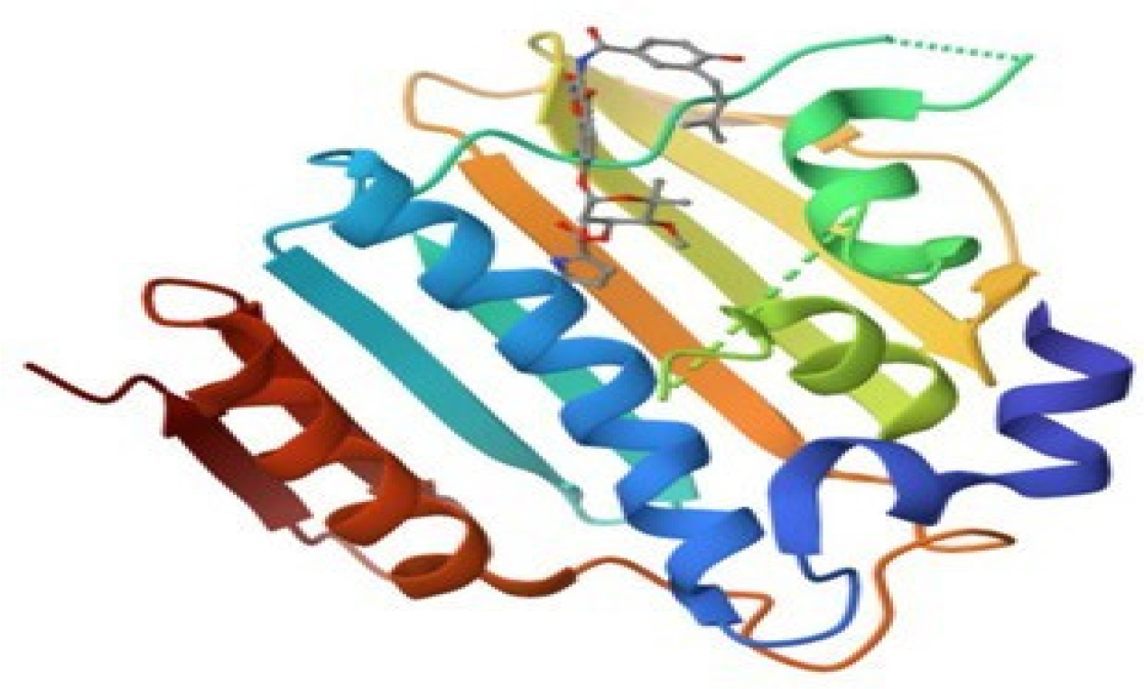 Crystal structure of DNA Gyrase (PDB ID - 1KZN).