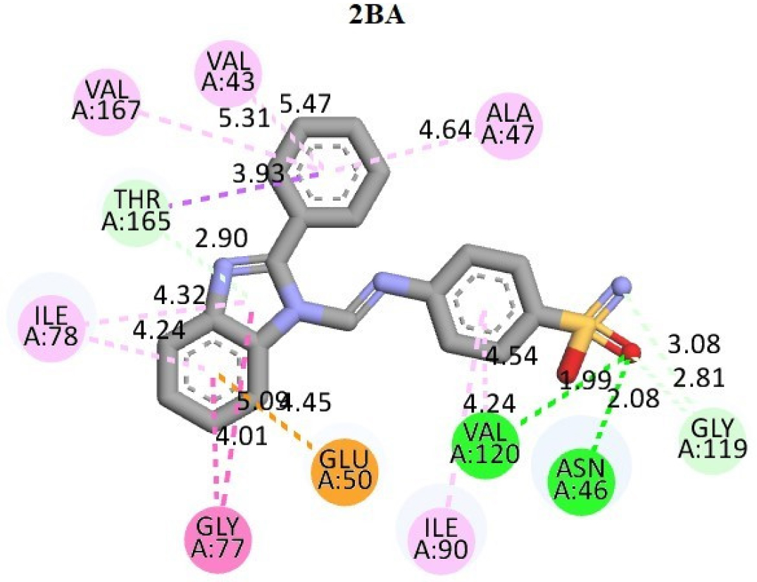 Interaction of Compound 2BA with the active site residues of DNA Gyrase.