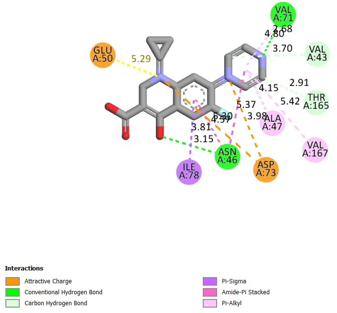 Interaction of standard ciprofloxacin with the active site residues of DNA Gyrase.