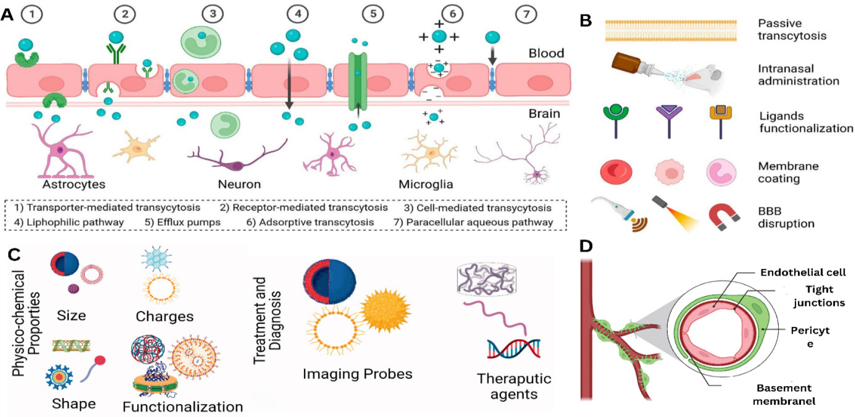 Structure and mechanisms for crossing and drug delivery A) Schematic diagram of different mechanisms for BBB crossing. B) Engineered materials for brain-targeted drug delivery C) Factors affecting the transport of substances between the BBB and tumor cells D) Schematic diagram of the BBB structure.