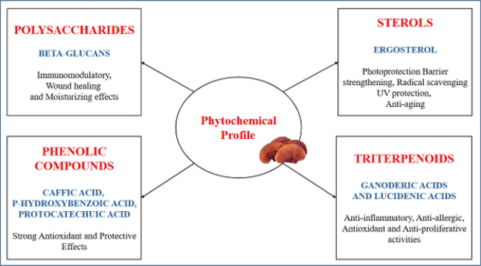 Showing the phytochemical constituents.