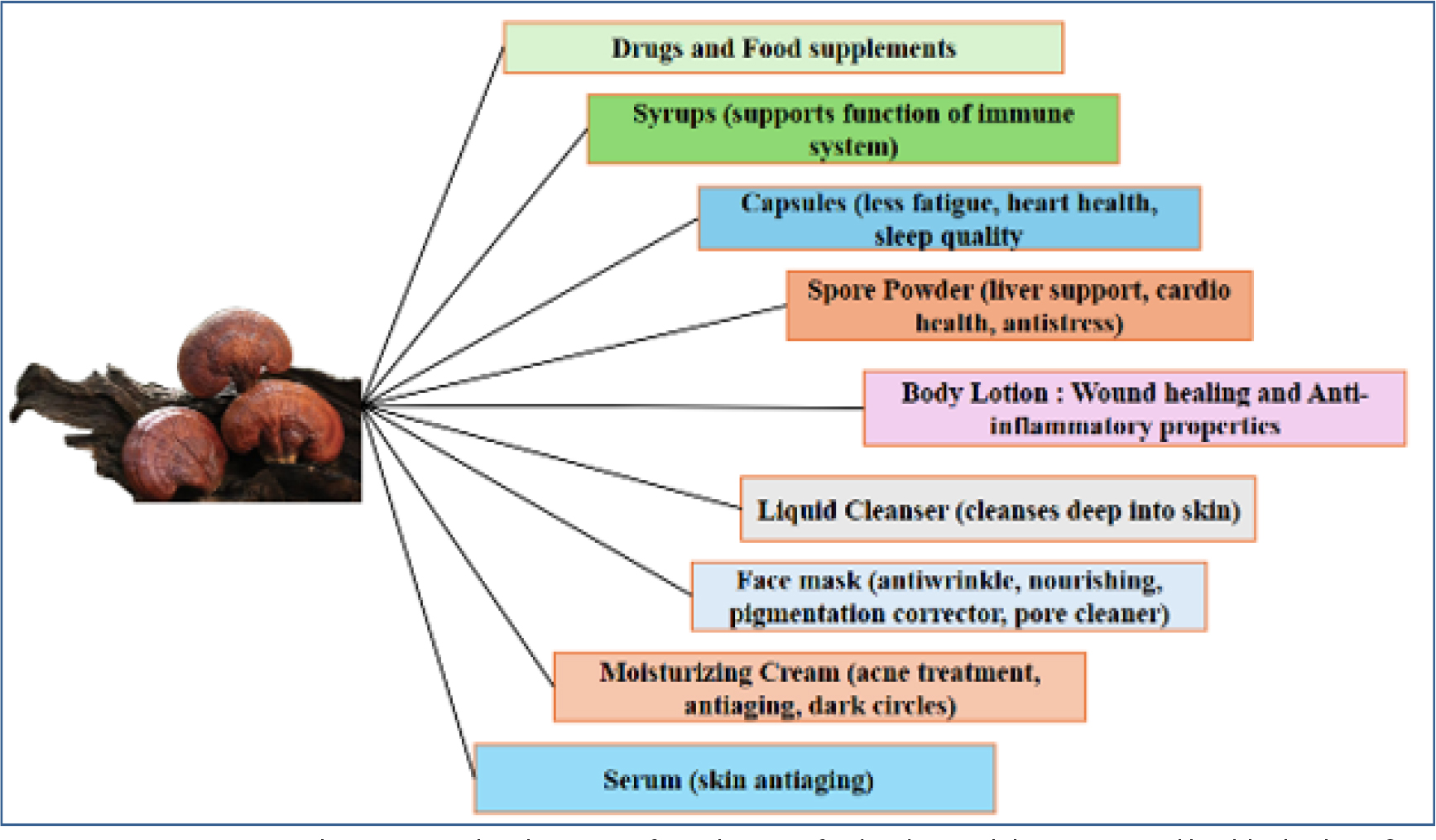 Representative pharmaceutical and cosmetic formulations of G. lucidum and their associated health/skin benefits.