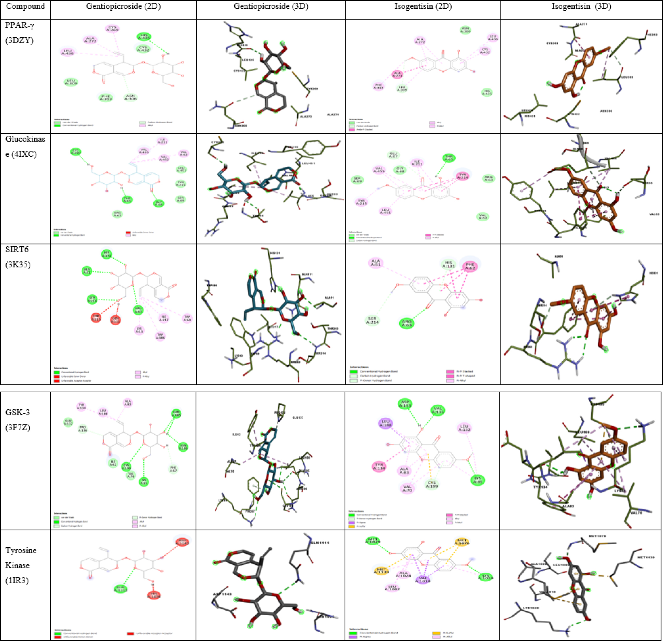 2D and 3D structure of Gentiopicroside and Isogentisin on PPAR-γ (3DZY), Glucokinase (4IXC), SIRT6 (3K35), GSK-3 (3F7Z), Tyrosine Kinase (1IR3).