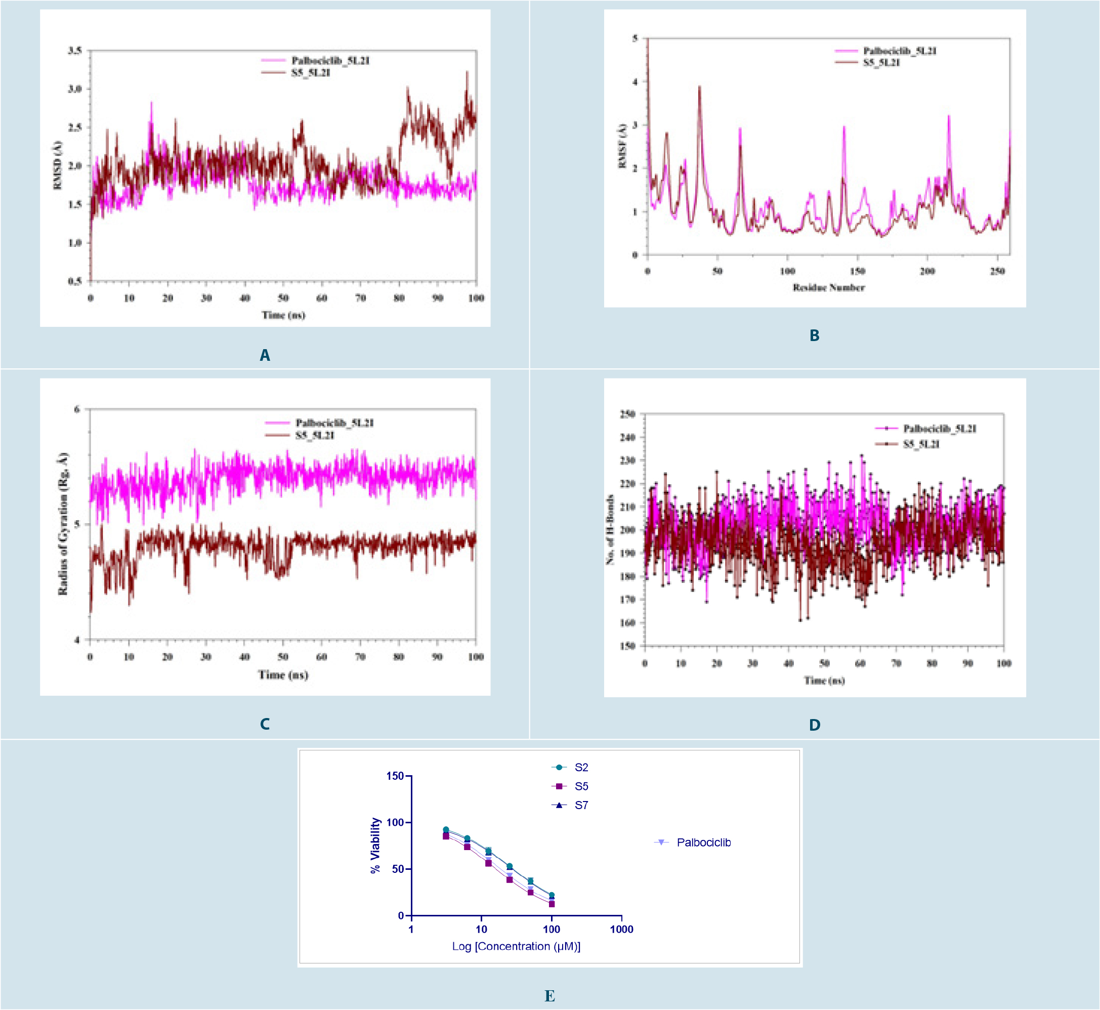 MD simulation analysis of 100 ns trajectories for palbociclib-CDK6 (pink) and S5-CDK6 (dark red) complexes, and in vitro cytotoxicity data. (A) RMSD of Cα backbone; (B) RMSF of Cα backbone; (C) Radius of gyration (Rg) of Cα backbone; (D) Hydrogen bond formation frequency; (E) Concentration-dependent cytotoxic effects of S5, S7, S2, and palbociclib on MCF-7 cells assessed by MTT assay (72 hr; Mean ± SD, n=3 independent experiments).