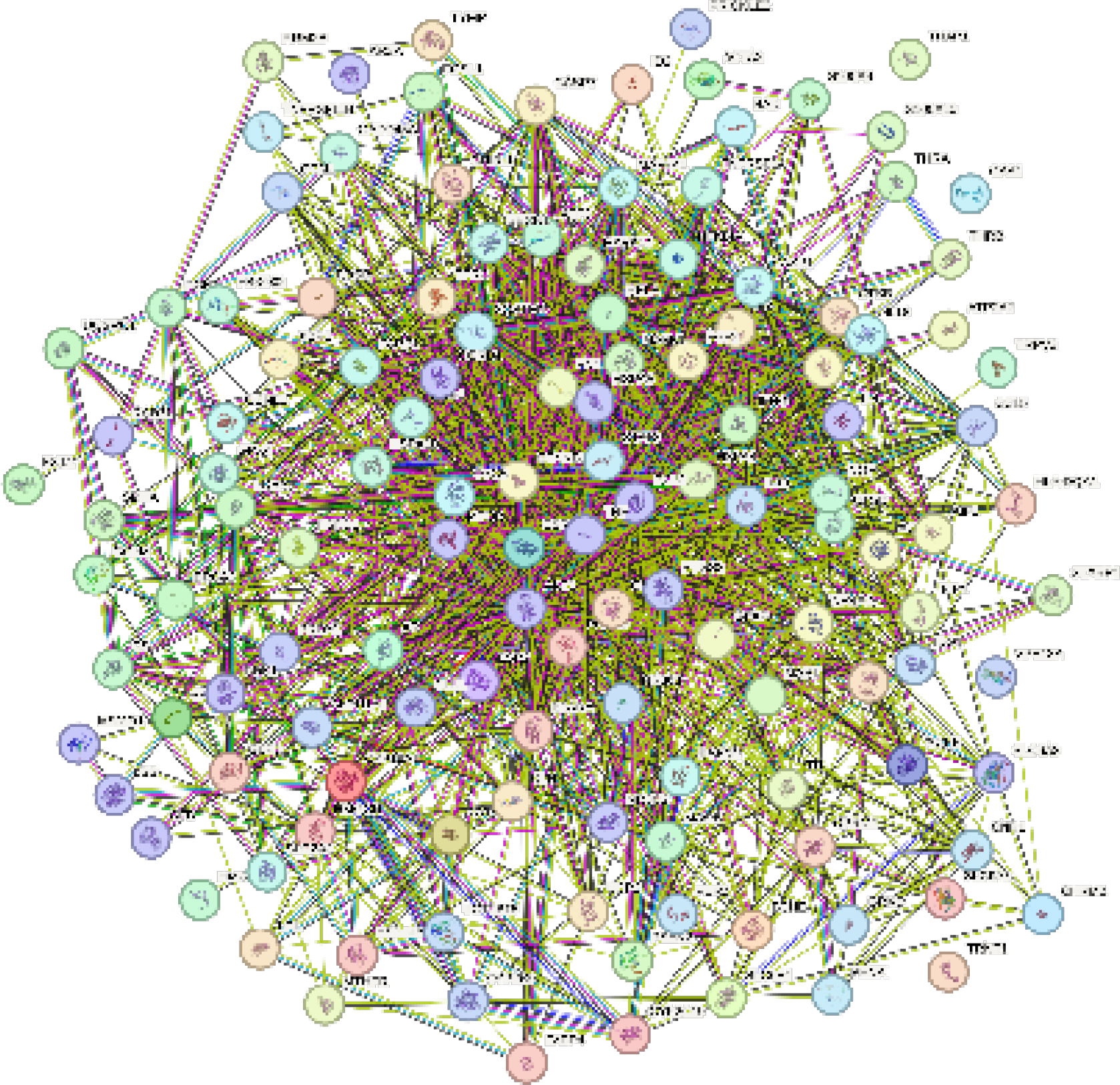 Protein-protein interaction of the genes modulated by the bioactives of A. rohituka.