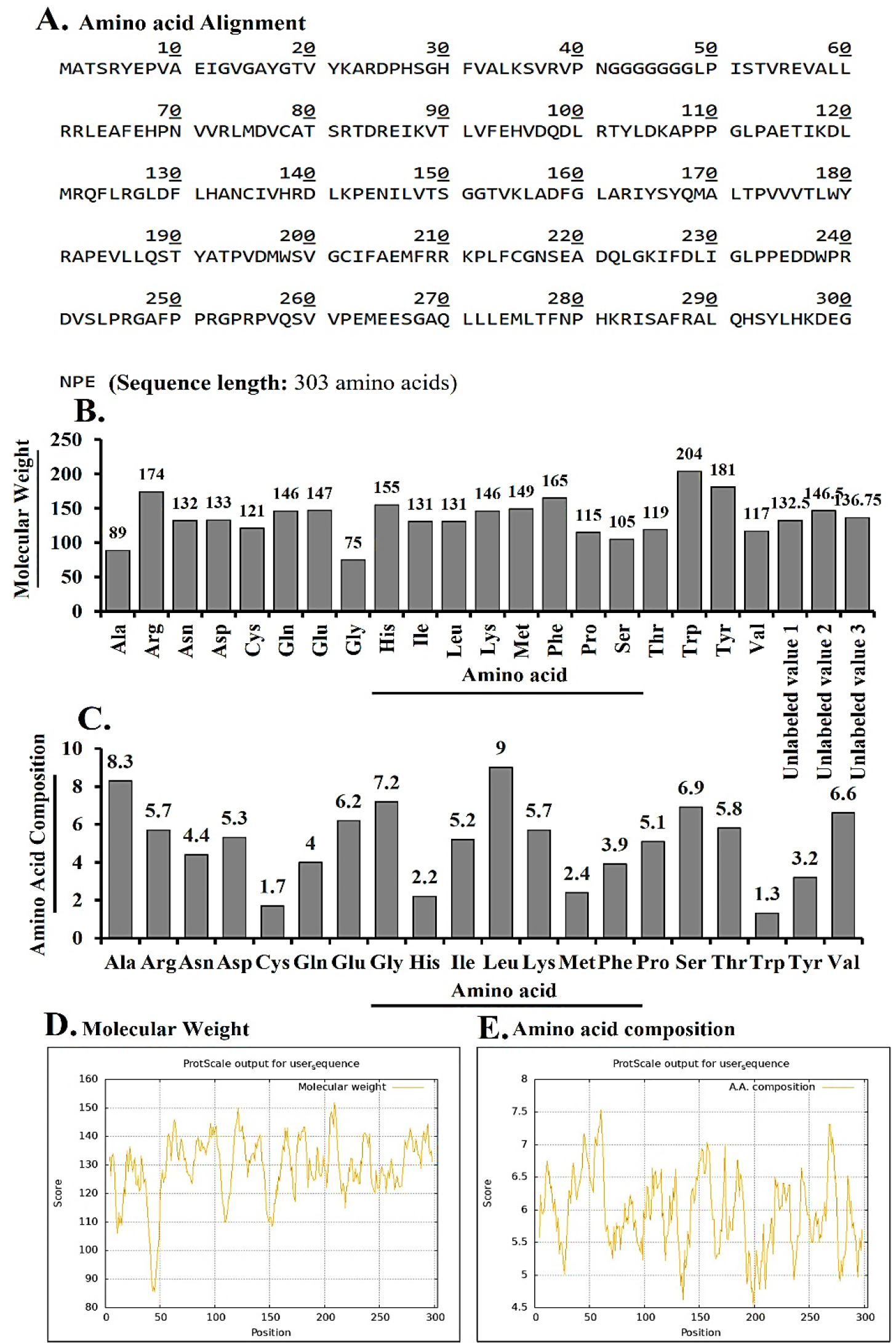 The primary structure and physiochemical profiling of 303-aa CDK4 protein. (A) Sequence; (B) Molecular weight; (C) Amino acid composition; (D) Residue molecular weight profile; (E) ProtScale profile.