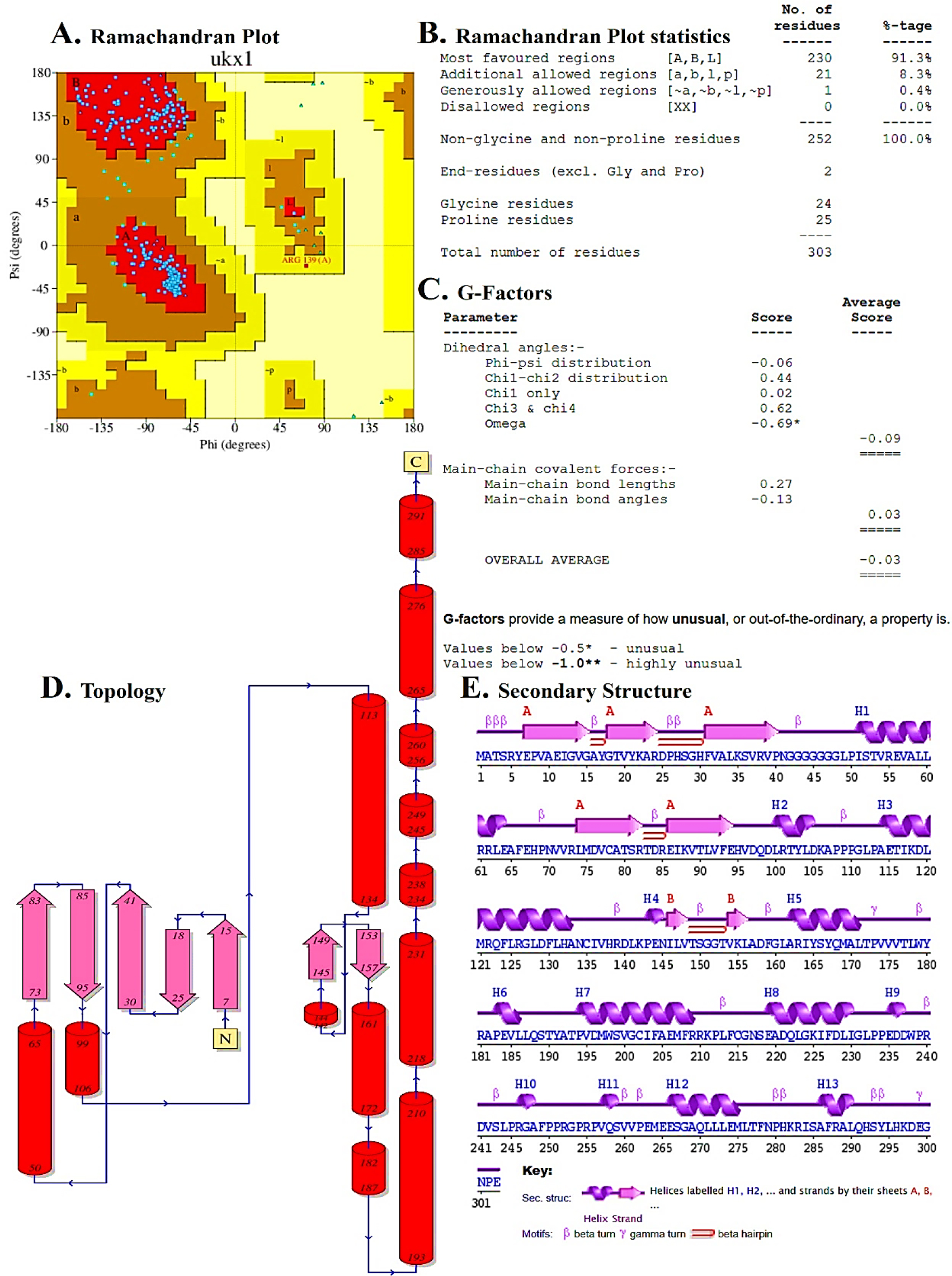 The structure and secondary structure of CDK4 were validated. (A) Ramachandran plot. (B) Ramachandran statistics. (C) G-factor analysis. (D) Structure of α-helices and β-strands, topology diagram. (E) Secondary structure predicted: α-helices (H1-H13), β-strands, β-turns and β-hairpins.