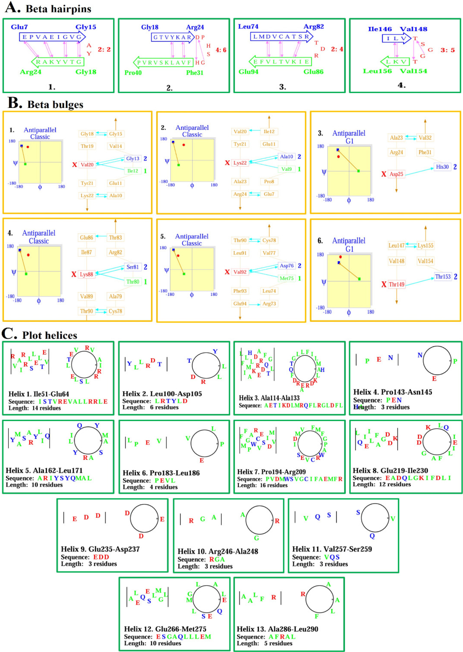 β-Bulges and helical wheel projections. (A) Beta bulge motifs that are antiparallel to each other. (B) β-Bulge classes and Ramachandran distributions. (C) The helical wheel projection of α-helices (H1-H13) displaying arrangement of residues and amphipathicity.