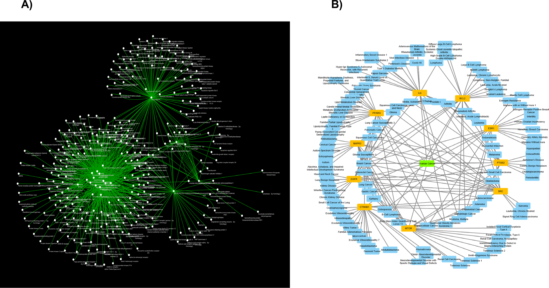Multi-dimensional network pharmacology architecture of P. marsupium in HGSOC. (A) Drug-Target-Disease (D-T-D) network illustrating the regulatory influence of P. marsupium constituents across the proteome and disease landscape. (B) Integrated Target-Pathway-Disease network centred on hub genes (yellow nodes), depicting convergence of prioritised targets (MTOR, SRC, IL6, EGFR) onto oncogenic pathways and clinical manifestations of ovarian cancer (blue nodes).