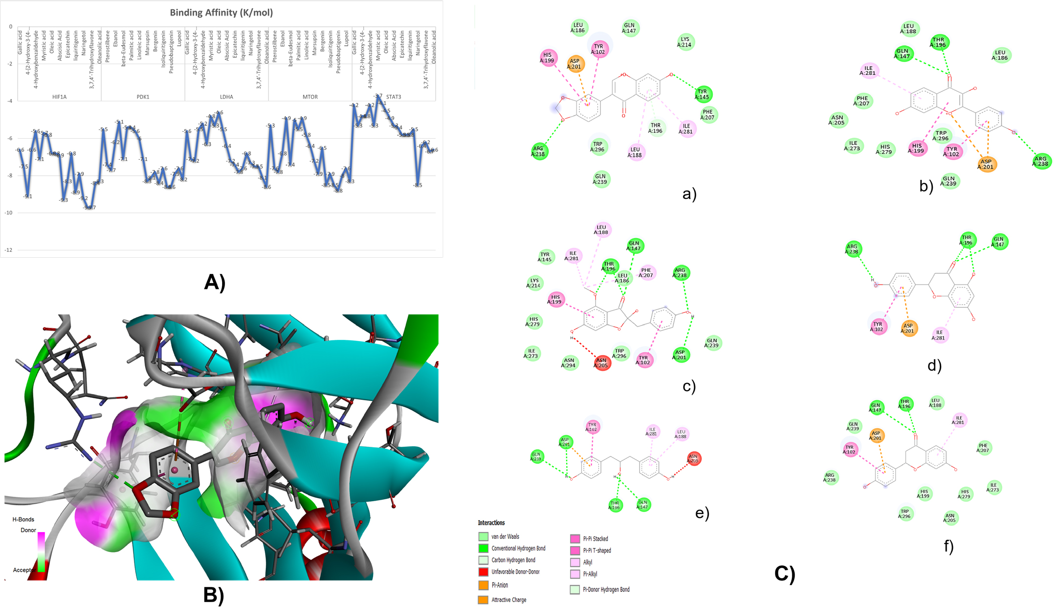 Molecular docking and atomistic interaction analysis of P. marsupium phytochemicals against HGSOC targets. (A) Comparative binding-affinity landscape (kcal/mol) of the bioactive library. (B) 3D representation of the FIH-1 (HIF1AN)-Pseudobaptigenin complex showing active-site occupancy (see Table 1 footnote and Section 2.7 for target identity note). (C) 2D ligand-residue interaction maps for lead candidates: (a) Pseudobaptigenin; (b) 3,7,4′-trihydroxyflavone; (c) marsupsin; (d) Naringetol; (e) liquiritigenin; (f) 4-[2-hydroxy-3-(4-hydroxyphenyl) propyl] phenol.