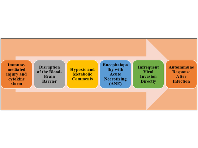 Encephalopathy Associated with H3N2 Influenza: Alarming Art of State