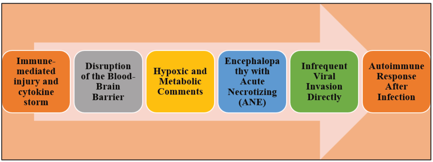 An outline of mechanism of encephalopathy linked to H3N2.