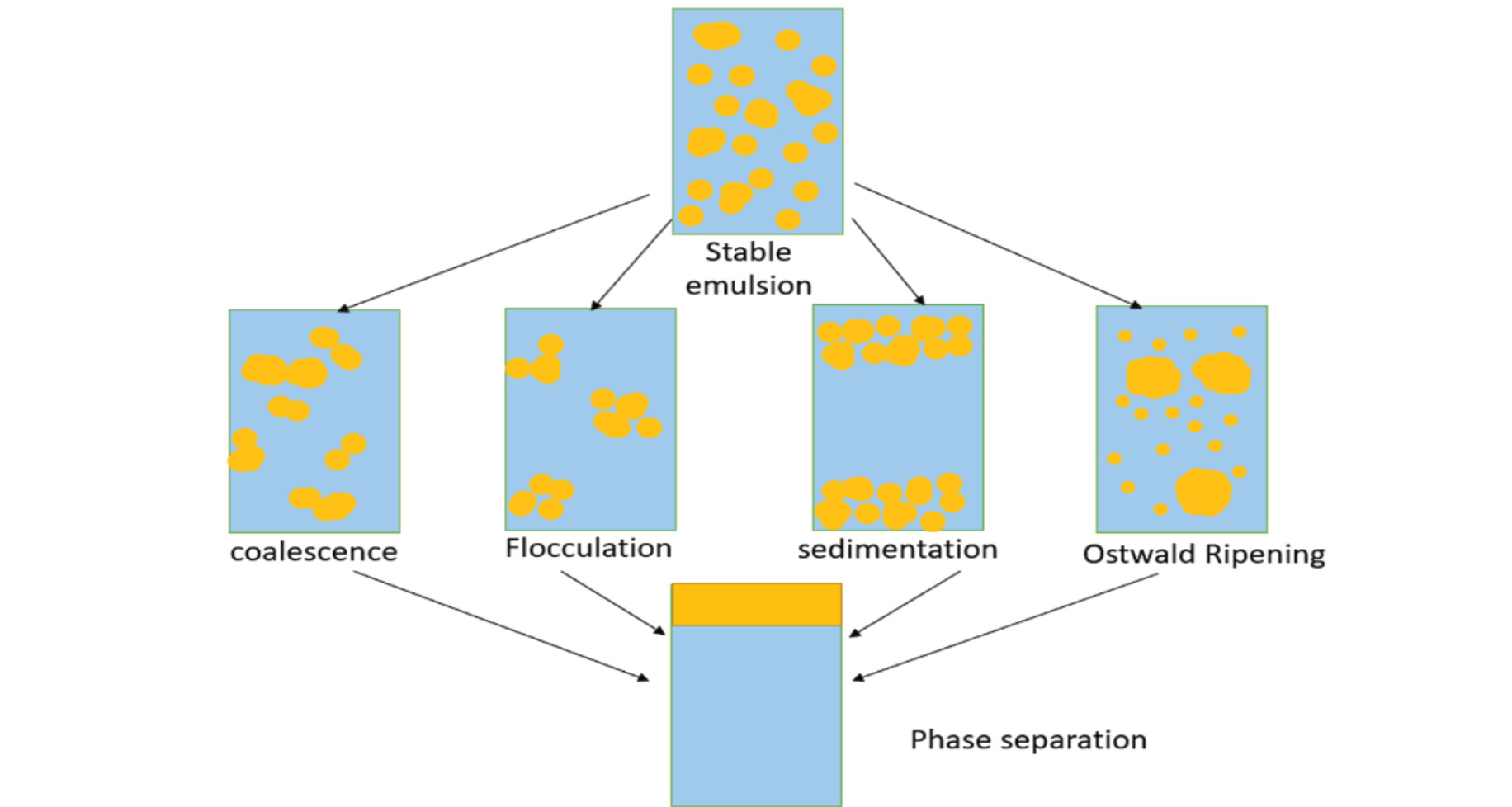 Emulsion destabilization mechanisms and pathways.