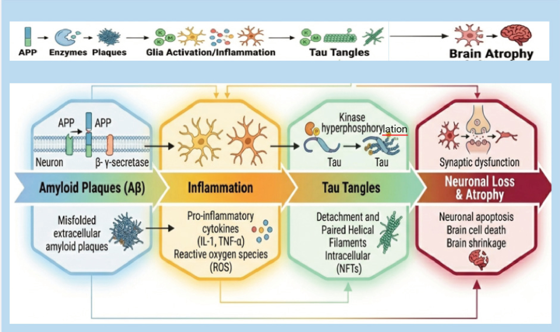 Major molecular mechanisms involved in Alzheimer's disease pathology.