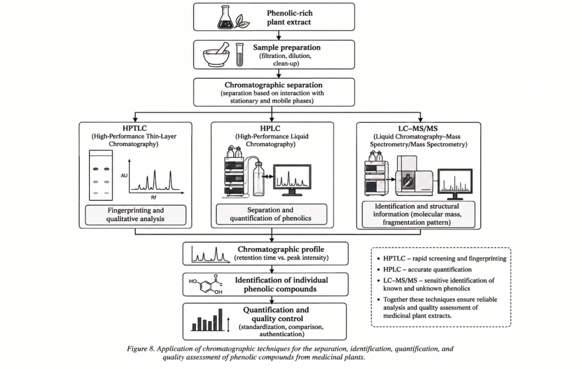 Application of chromatographic techniques for the separation, identification, quantification, and quality assessment of phenolic compounds from medicinal plants.