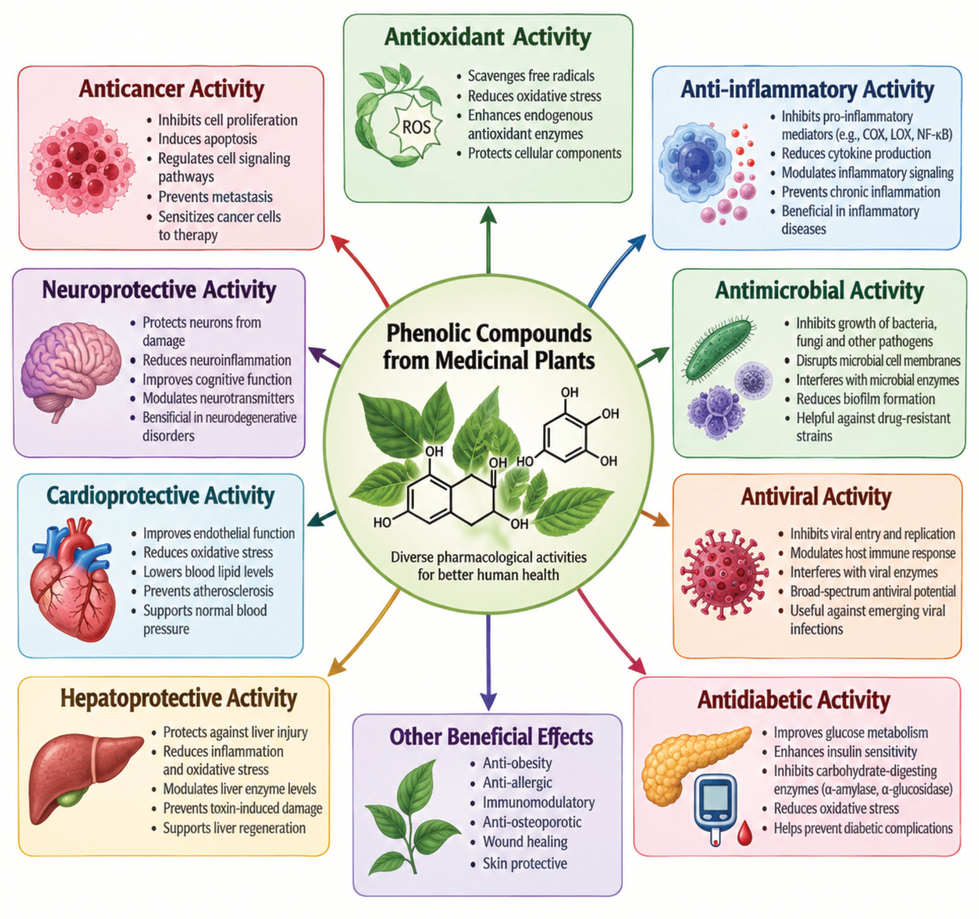 Overview of the Major Pharmacological Activities of Phenolic Compounds in Medicinal Plants.