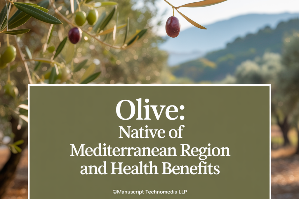 Olive: Native of Mediterranean region and Health benefits