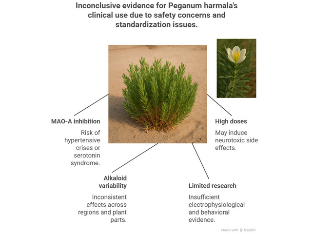 Bioelectrical and Neurochemical Modulation by Peganum harmala: A Narrative Review of its Role in Neural Hyperactivity, Stress Circuitry, and Cortical Excitability