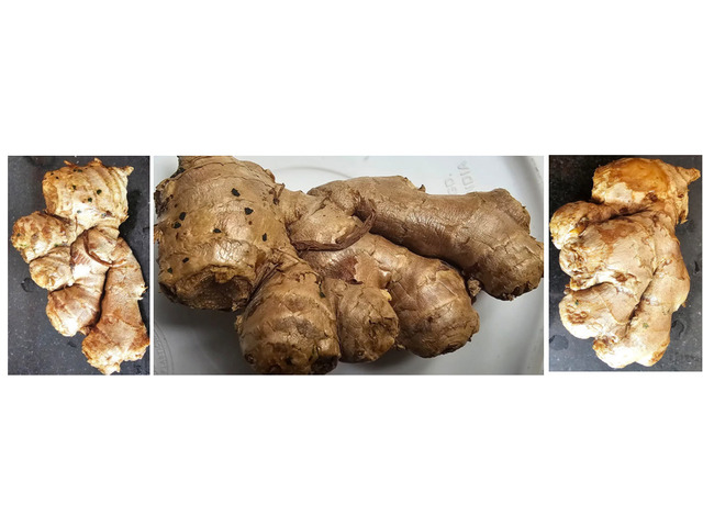 Anti-inflammatory study of Zingiber officinale (Ginger): A Systematic Review
