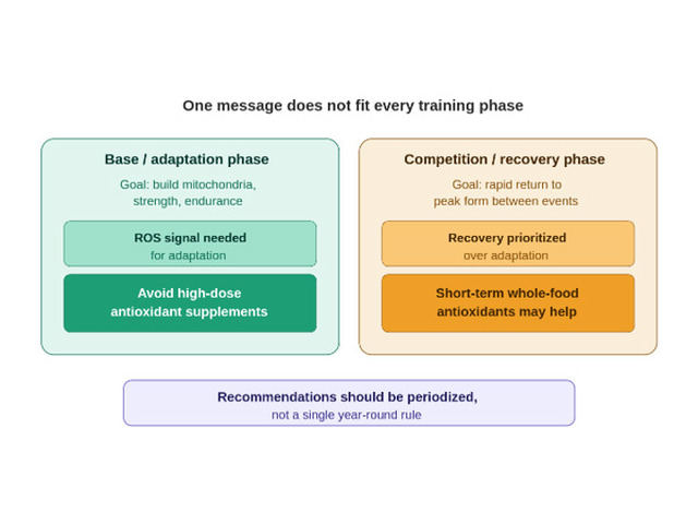 Periodizing Antioxidant Intake: Why “Recovery” and “Adaptation” Phases Need Different Advice