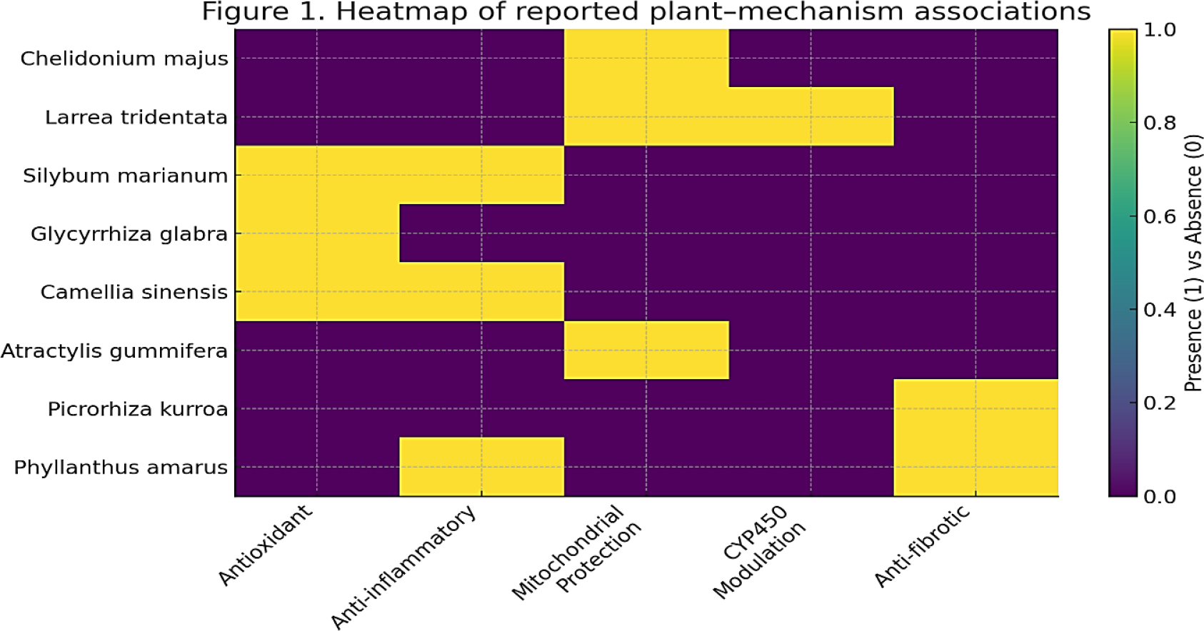 Heatmap of reported plant-mechanism associations: rows represent medicinal plants; columns represent primary mechanisms of hepatoprotection or toxicity.