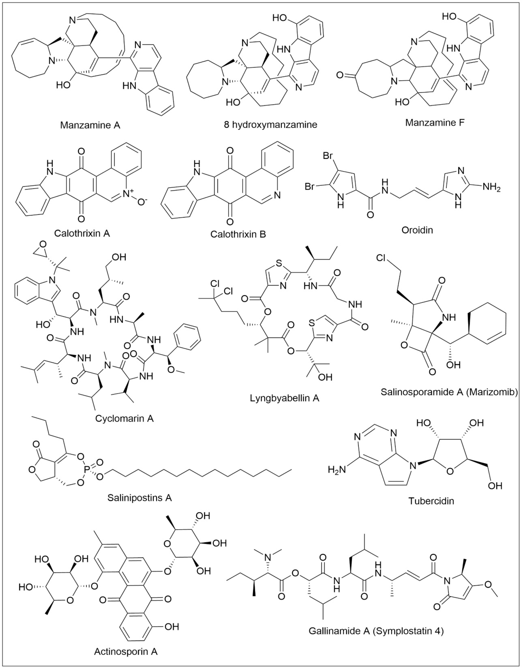 Chemical structures of representative compounds.