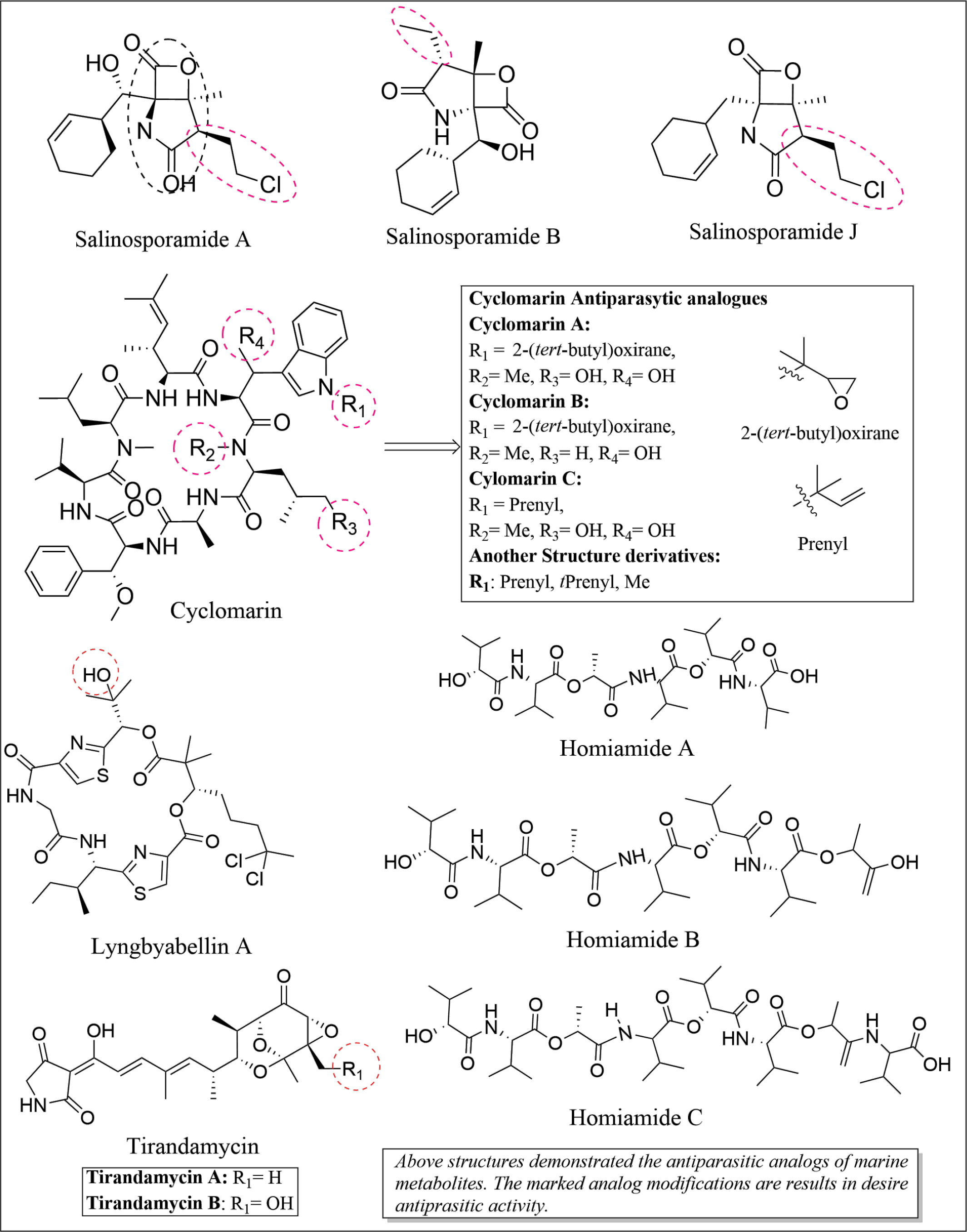 Structure and SAR of Analog modifications of marine microbial metabolites.