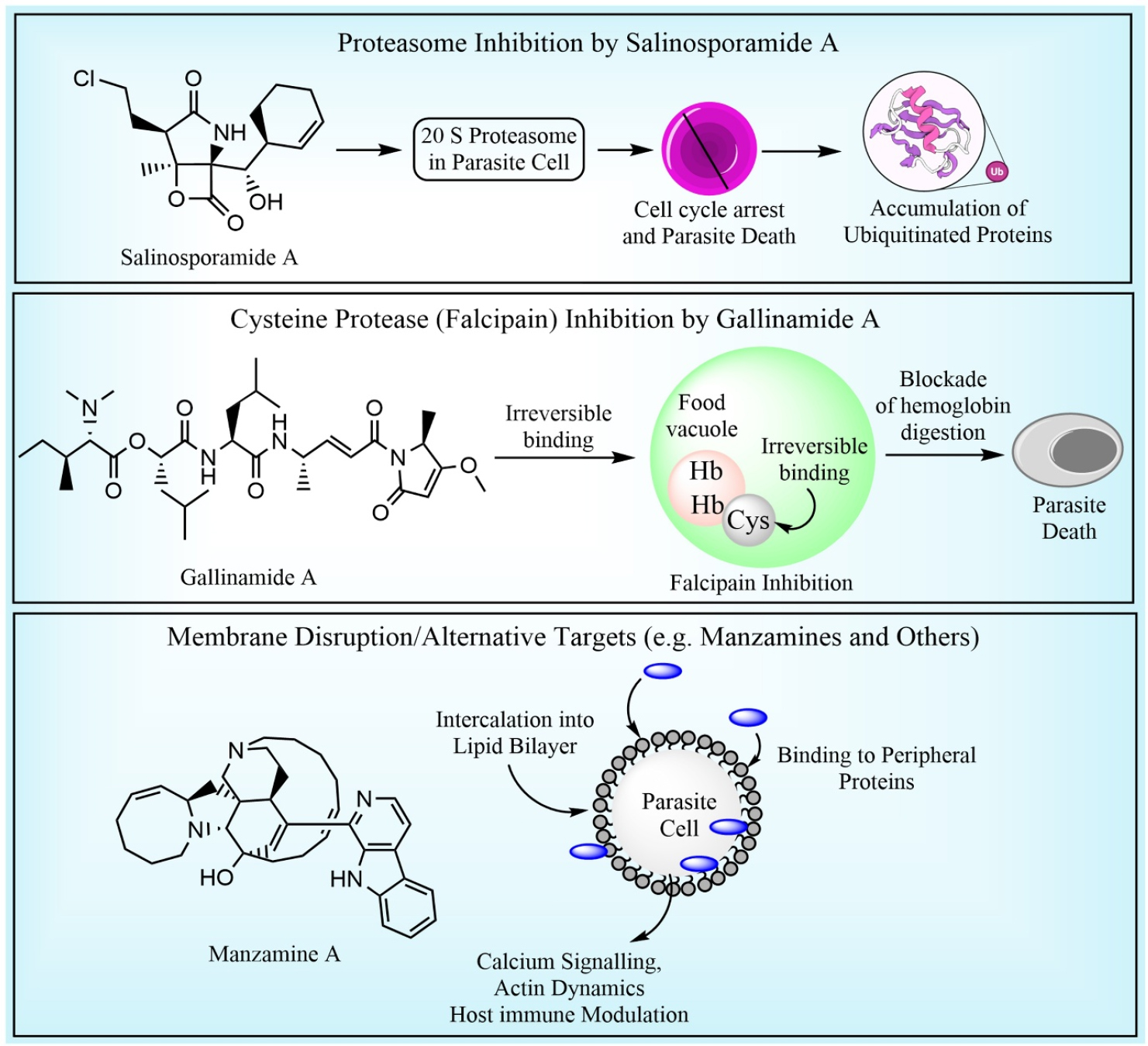 Mechanisms of action of some marine-derived compounds, shows their diverse molecular targets across key parasitic pathways.