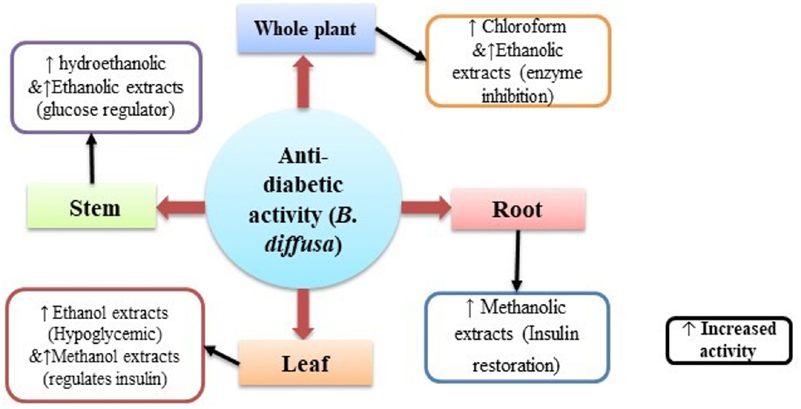 Anti-diabetic activity of B. diffusa extracts across plant parts.