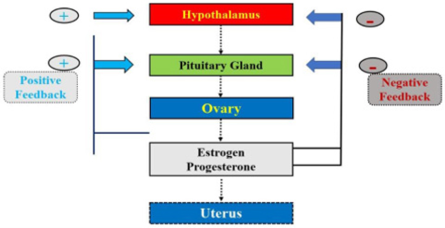 Physiology of menopause.