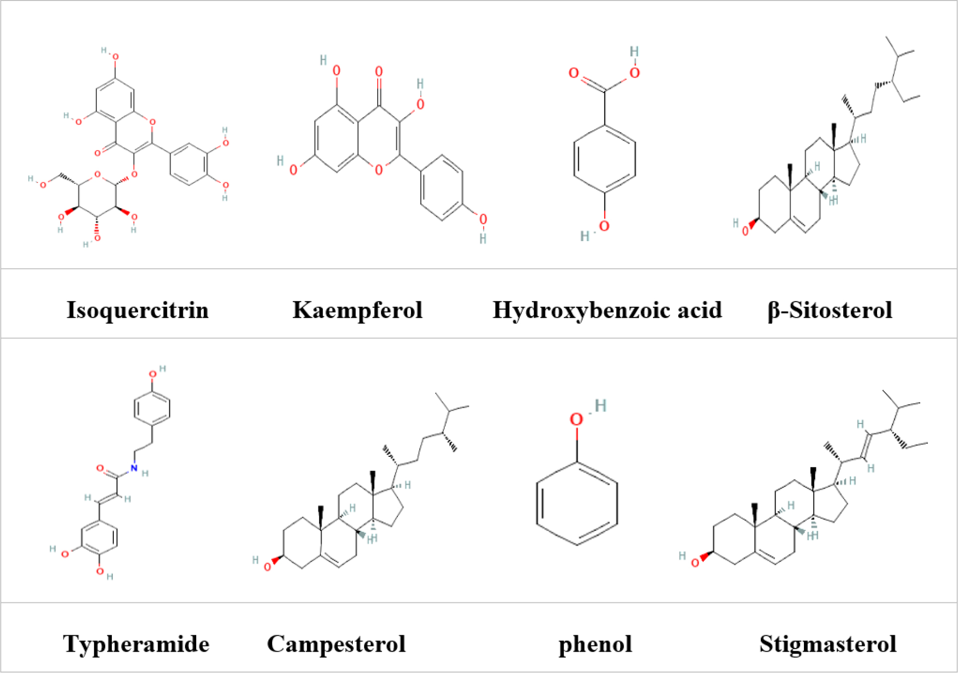 Some chemical constituents of Spring Onion (Allium fistulosum).