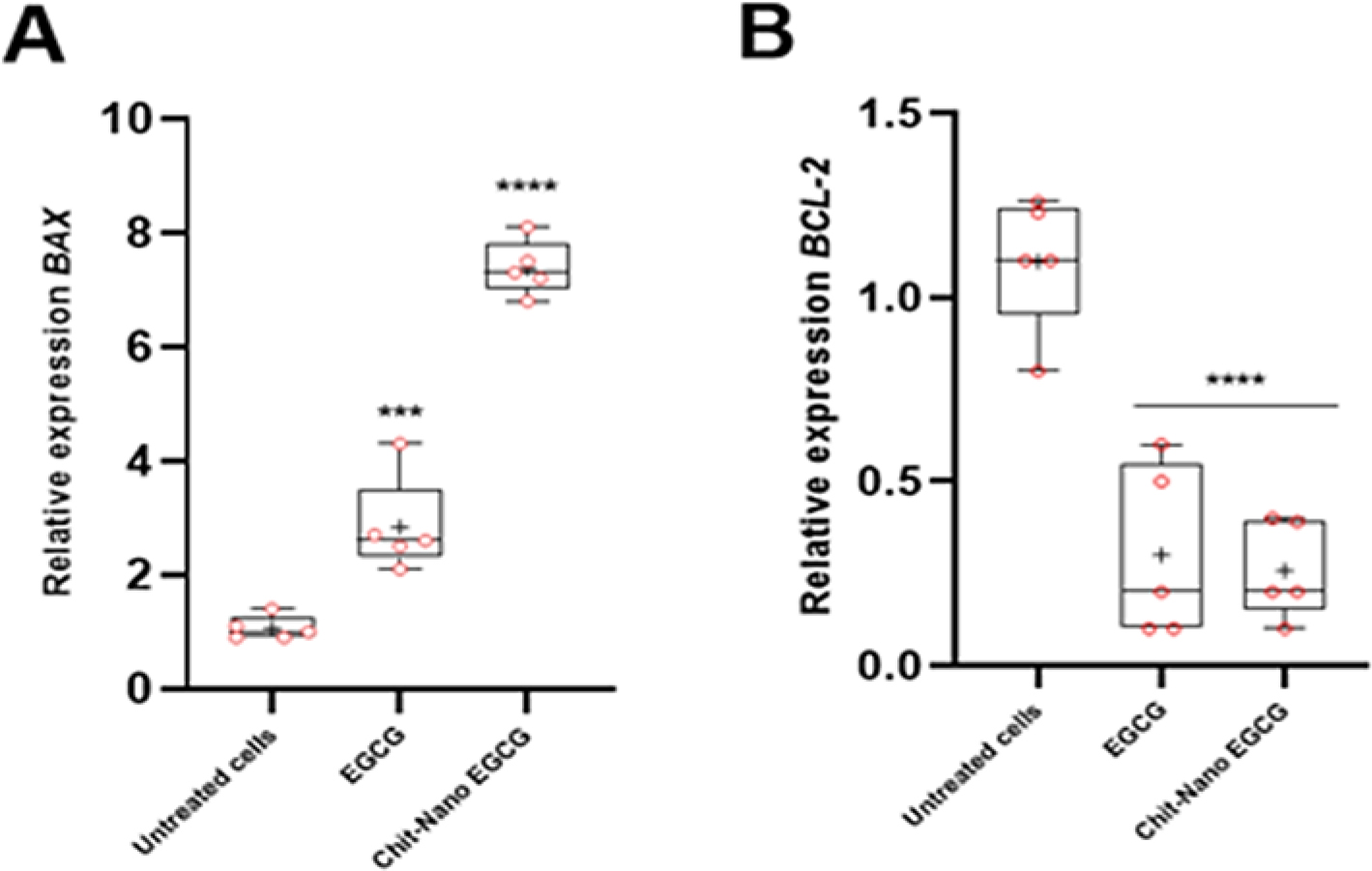 Relative expression of pro-apoptotic (BAX) and anti-apoptotic (BCL-2) genes in PANC-1 cells following treatment with EGCG and Chit-Nano EGCG.