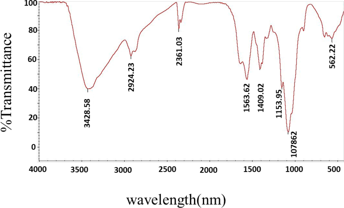 FTIR spectrum of chitosan nanoparticles conjugated with genistein.